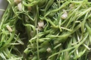 家常冻豆腐怎么做好吃：解锁多重口味，简单又美味
