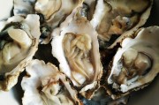 三亚三亚湾特色美食:一场味蕾的盛宴 三亚三亚湾特色美食:一场味蕾的盛宴