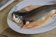 甘肃陇西特色美食：一场味蕾的盛宴