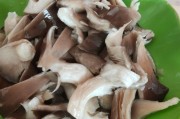 拌茄泥的家常做法：轻松学做下饭佳肴