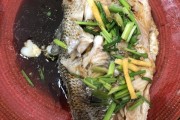 小吃车城管：城市美食与秩序的平衡之道