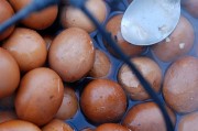 兔子肉家常做法：解锁美味与营养的秘密