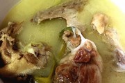 鸡肉跟什么炒好吃？10种搭配让你食指大动