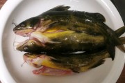 素炒油菜的家常做法：简单美味，营养满分
