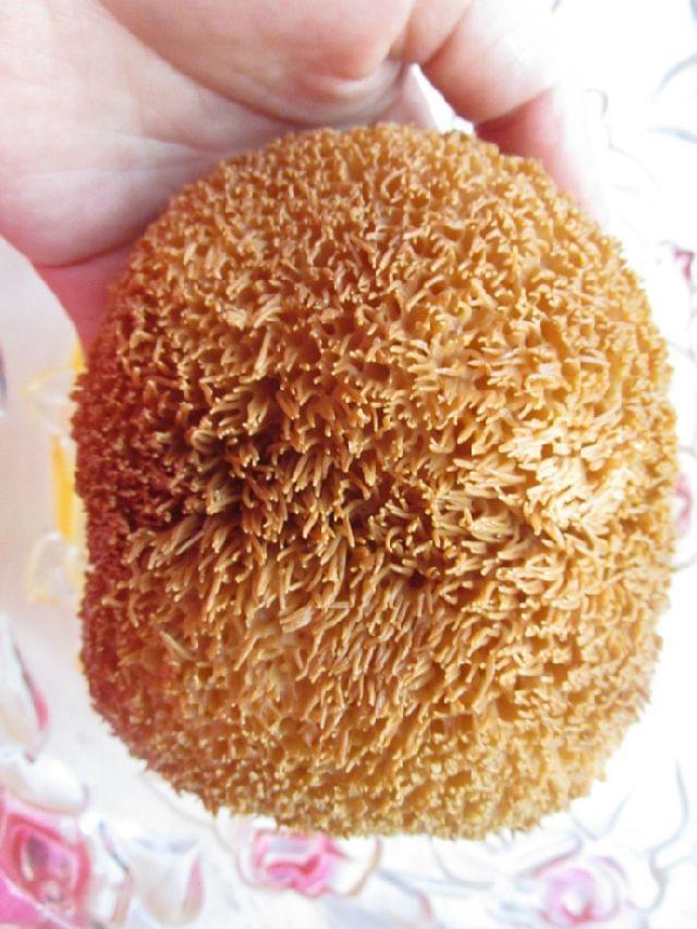 大口鲶鱼怎么做好吃：独家秘制食谱大公开