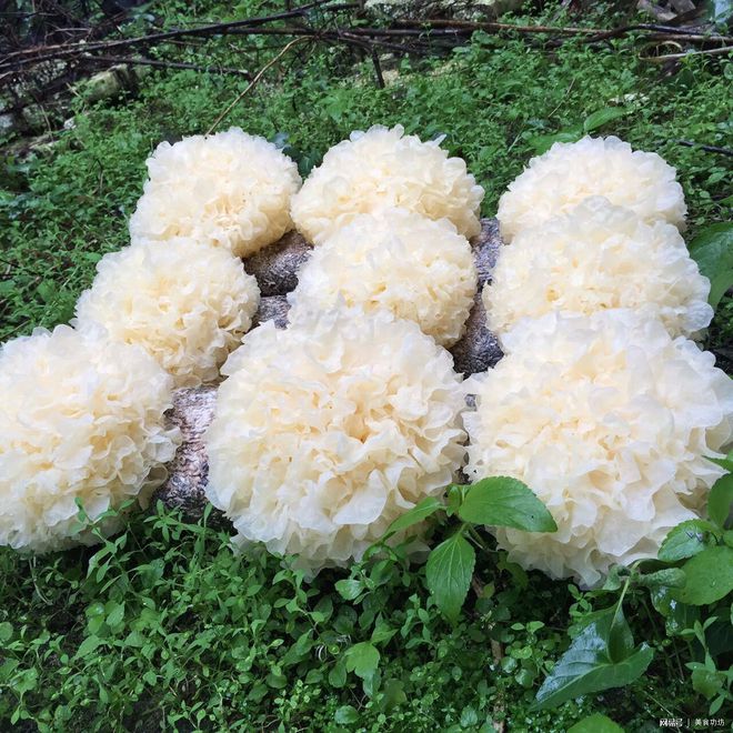 北海特色美食攻略：探寻美食名店的独特风味