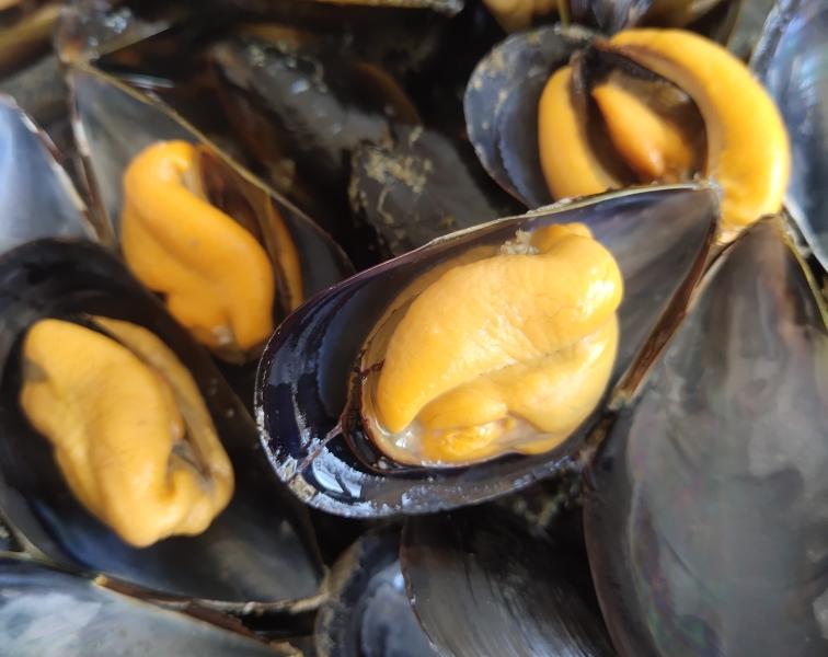 潢川特色美食：探寻千年古县的味蕾传奇