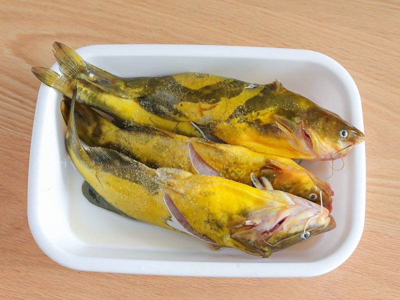 上海特色美食地址：探寻魔都美味秘境
