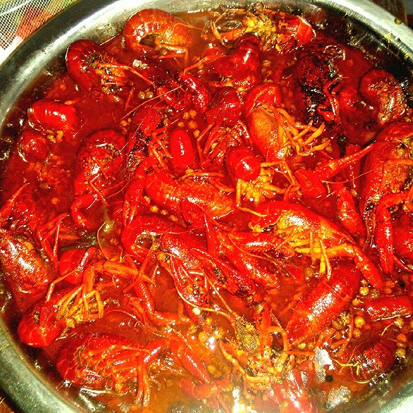 重庆市各区县特色美食攻略：一场味蕾的盛宴