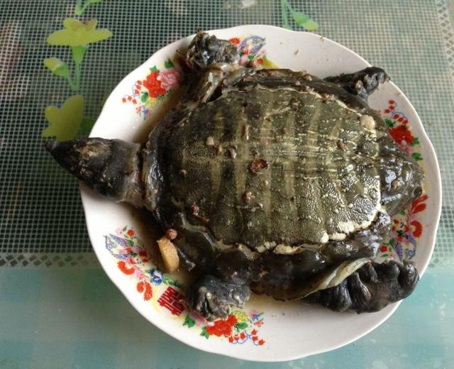 什么石榴好吃：探寻最佳石榴品种与挑选技巧