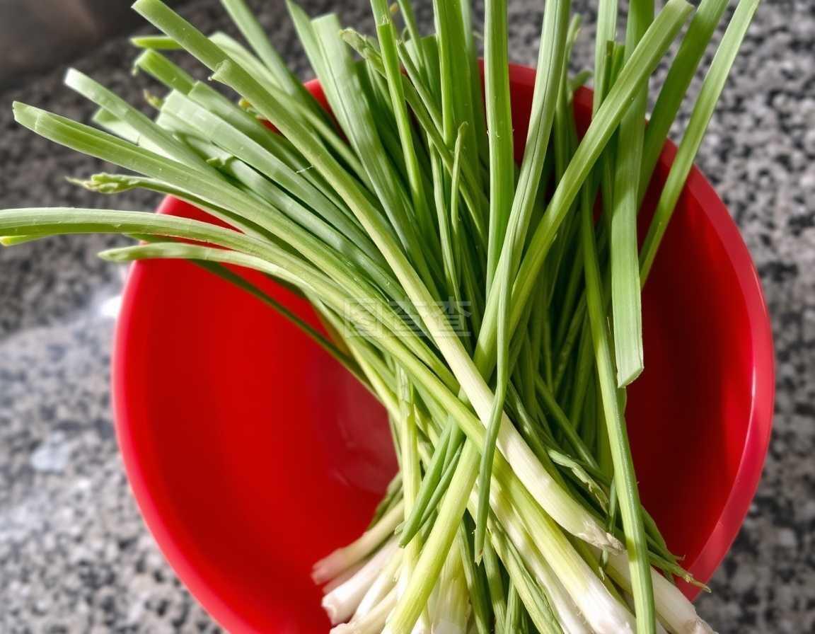 浙江菜谱家常菜做法：传承与创新的美食之旅