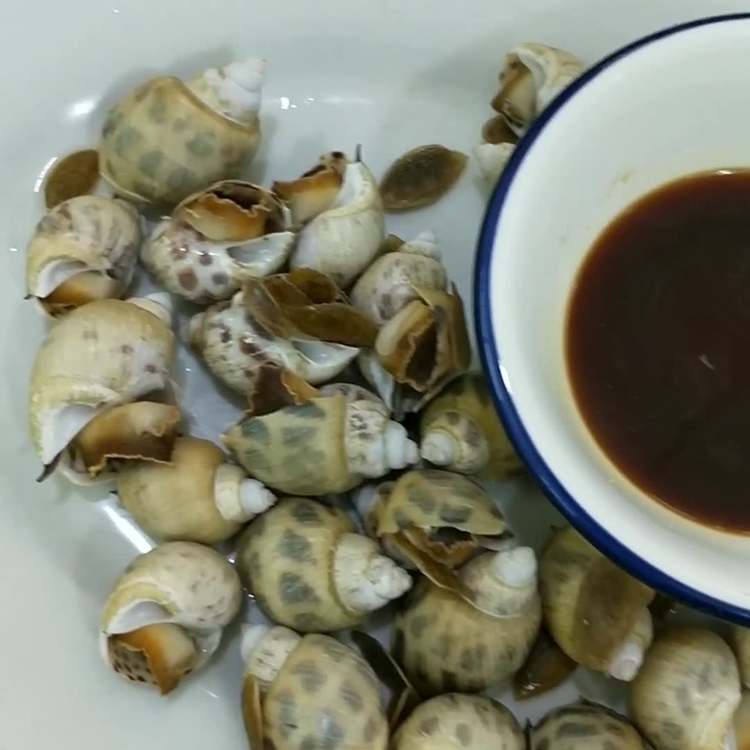 浙江菜谱家常菜做法：传承与创新的美食之旅