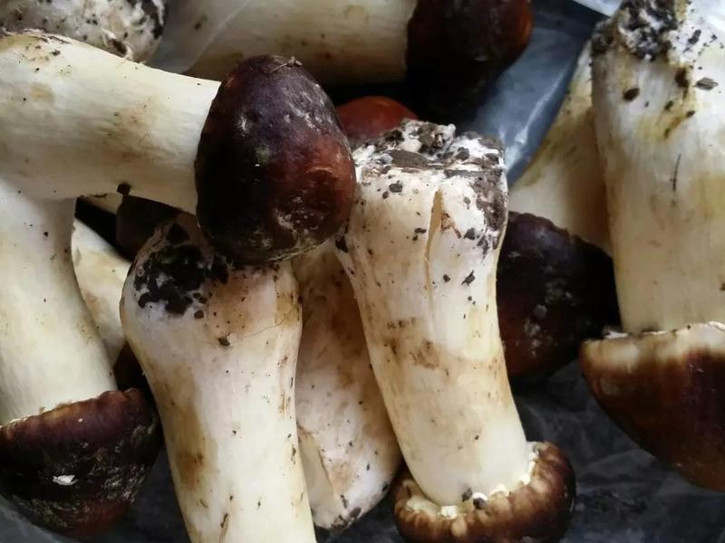 天津特色美食：舌尖上的津味风情