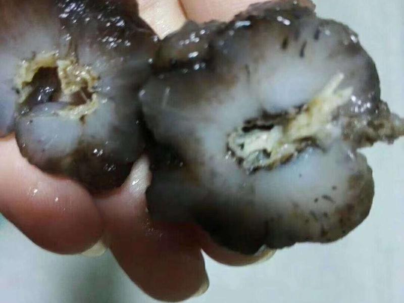 万源市特色美食：探寻美食密码，品味独特风味