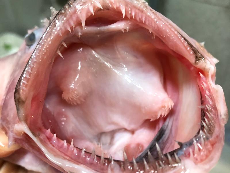 旬邑小吃：探寻关中美食的独特韵味