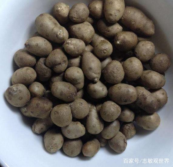 特色美食大合集：一场味蕾的盛宴