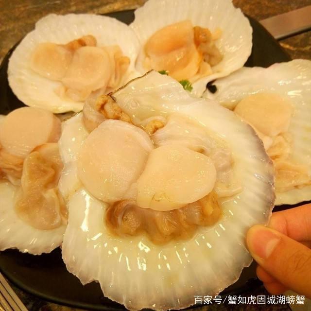 越南好吃的：一场舌尖上的盛宴