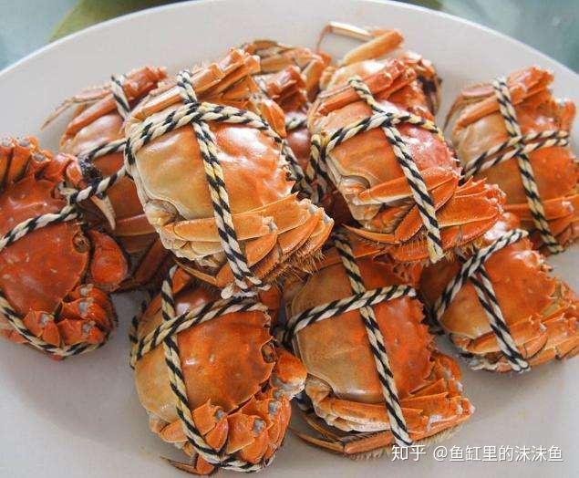 煎鱼的做法大全家常