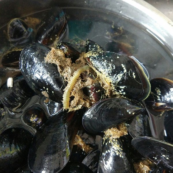 兰溪十大名小吃：一场味蕾的盛宴