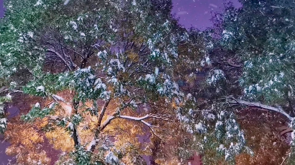 家常三明治的做法：简单快捷，美味升级