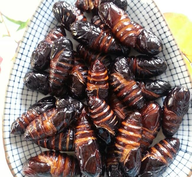 萝卜炖豆腐的家常做法：温暖家常味的经典菜肴