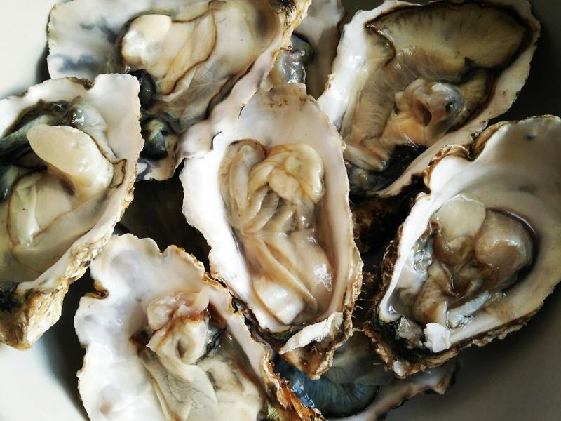 阳春特色美食饭店：舌尖上的文化之旅