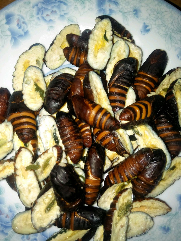 电动小吃车：城市美食新潮流