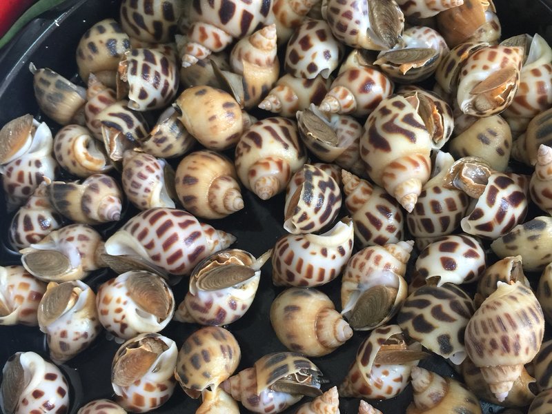 土豆丝的家常做法：简单易学，美味可口