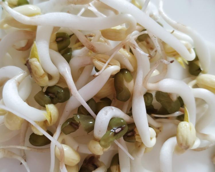 上海青做法大全家常：解锁家常美食新境界