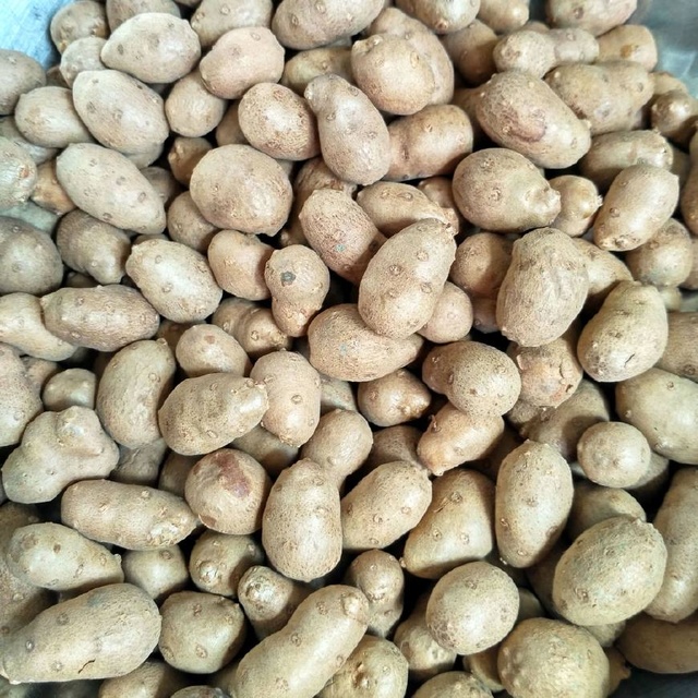 大蒜叶怎么做好吃：解锁家常美味新境界
