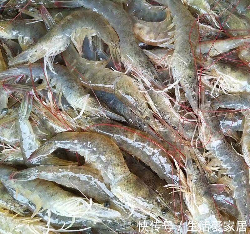 五一广场小吃街：探寻城市味蕾的秘密花园
