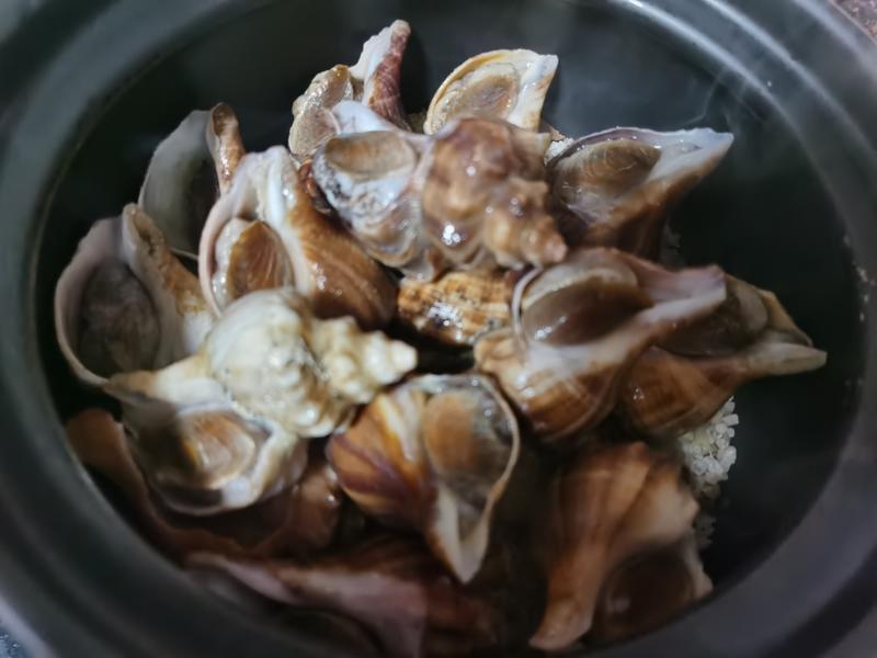 炒菜大全家常菜做法：解锁厨房新境界