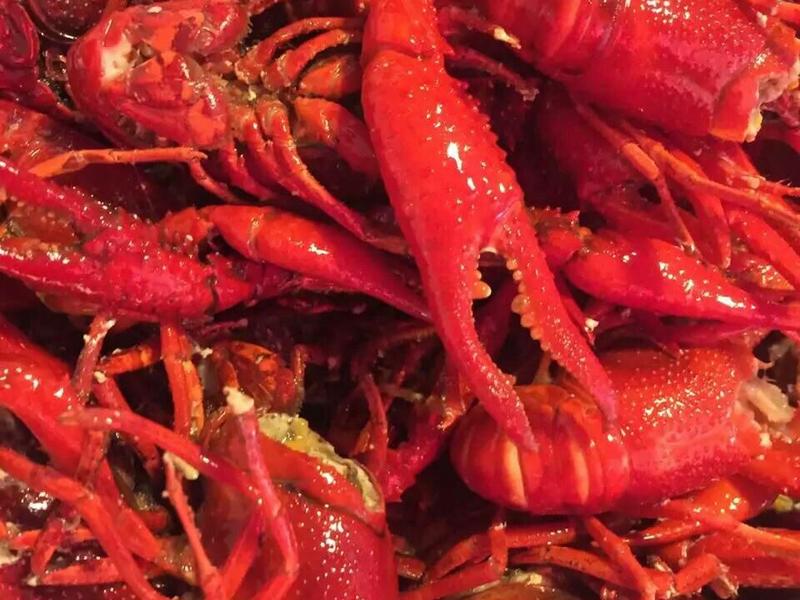夏季菜谱家常菜做法：清爽美味，轻松入门