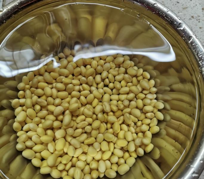 家常青椒肉丝：家常美食的魅力展现