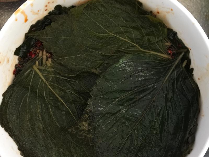 炒干豆腐的家常做法：简单美味，营养丰富