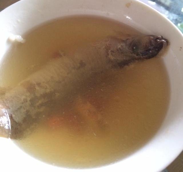 海鲶鱼怎么做好吃：解锁海洋美味