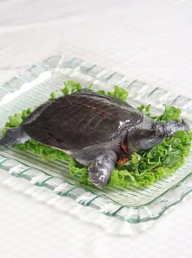 北京特色美食地址：探寻古都味蕾的秘密