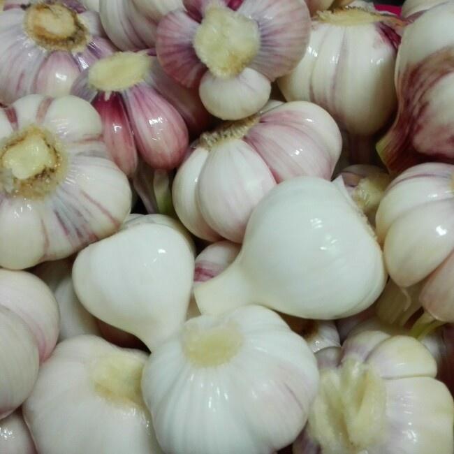 湖南特色美食介绍：探寻湘韵美馔