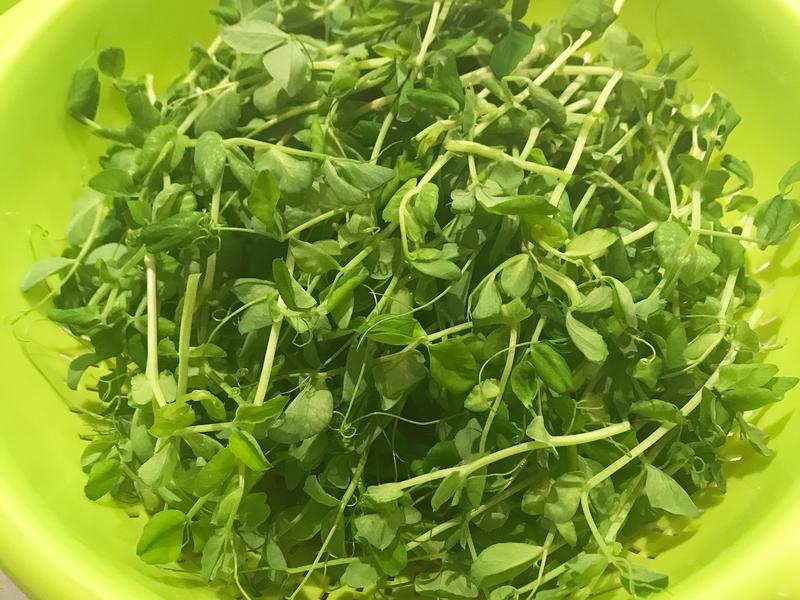 凉菜怎么拌才好吃：掌握秘诀，让凉菜美味升级
