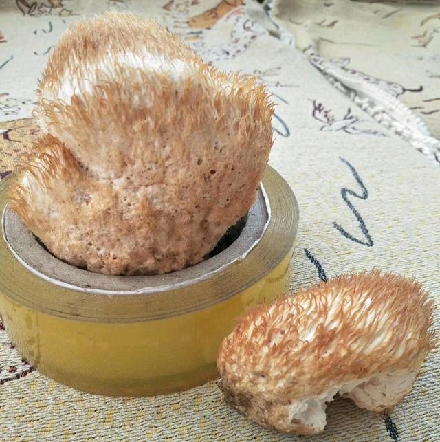 豌豆炒虾仁的家常做法：简单易学的美味佳肴