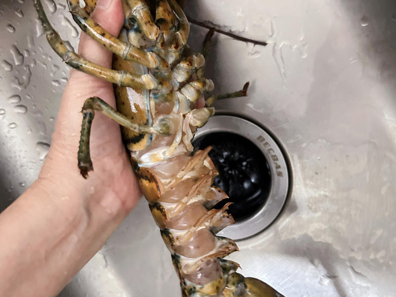 马面鱼怎么做好吃：解锁海洋美味新境界