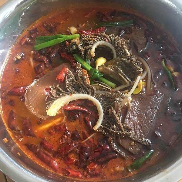 豆芽怎么烧好吃？掌握这些技巧，让你的豆芽菜肴大放光彩！
